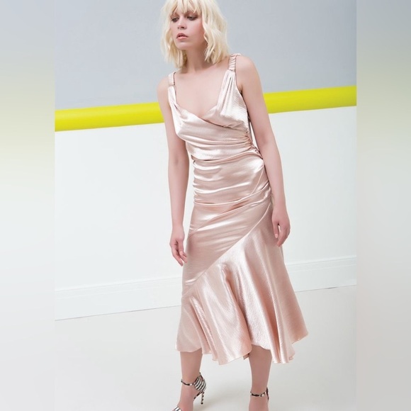 Maria Lucia Hohan Adah Pink Tehno Satin Silk Ruched Mermaid Midi Dress Gown - Picture 2 of 14